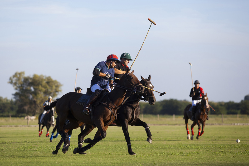 Argentine polo players