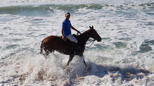 Polotraining - Argentina Polo Academy