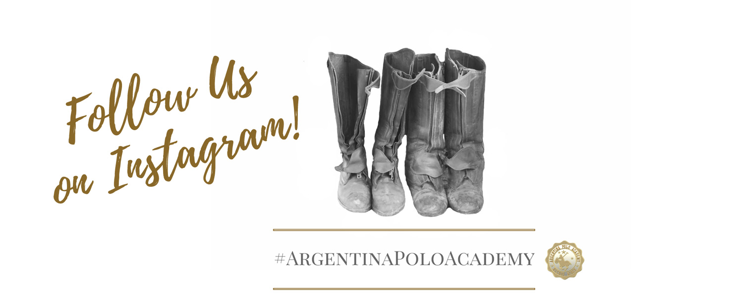 Follow the Argentina Polo Academy on Instagram!