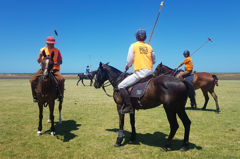 polotraining for beginners to advanced players