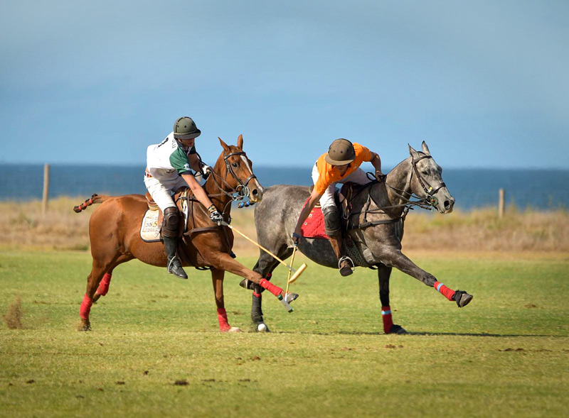 polo tournament training at the Argentina Polo Academy Europe